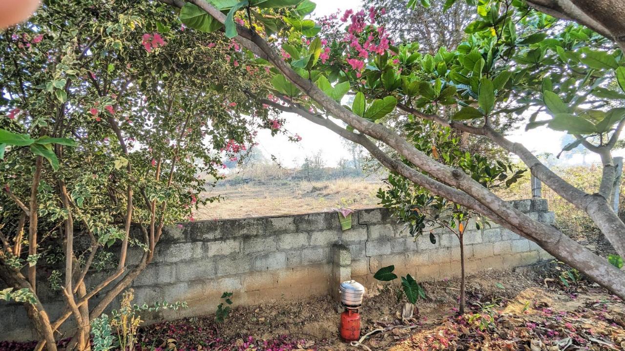 Sattva Farmstay Bengaluru Zewnętrze zdjęcie