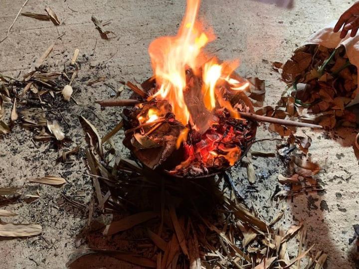 Sattva Farmstay Bengaluru Zewnętrze zdjęcie