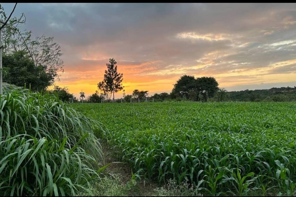 Sattva Farmstay Bengaluru Zewnętrze zdjęcie