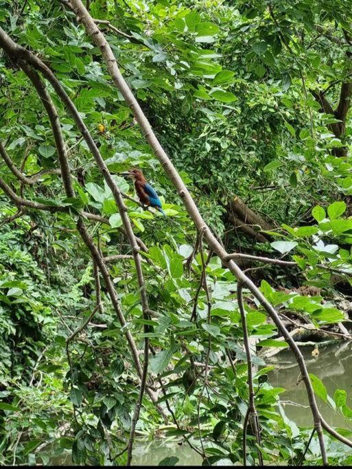Sattva Farmstay Bengaluru Zewnętrze zdjęcie