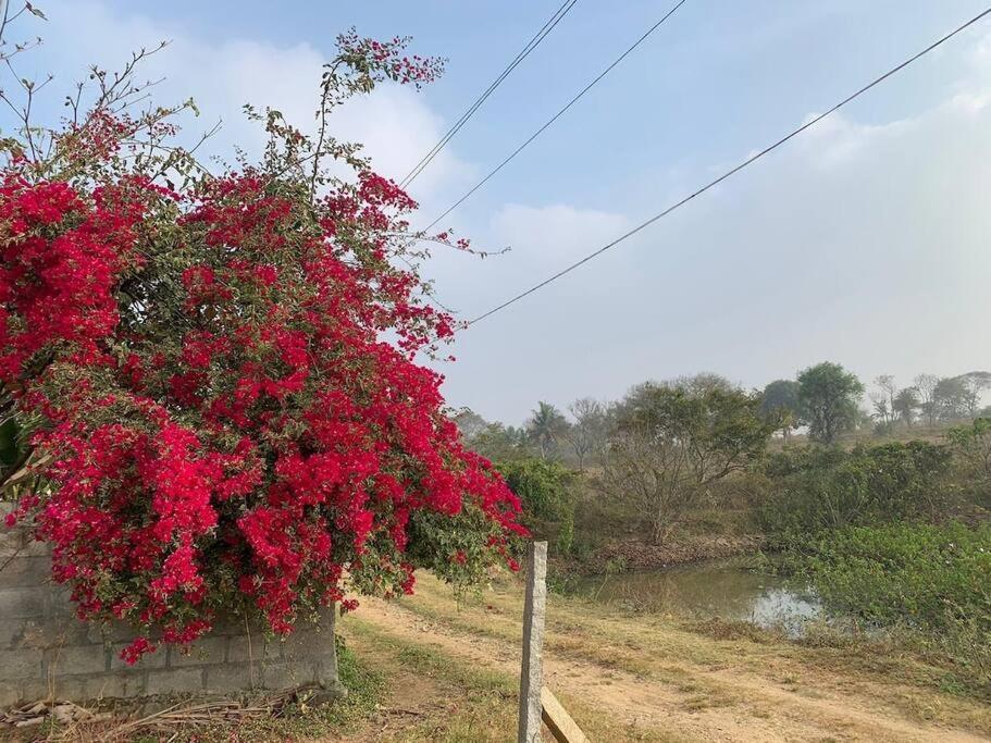 Sattva Farmstay Bengaluru Zewnętrze zdjęcie